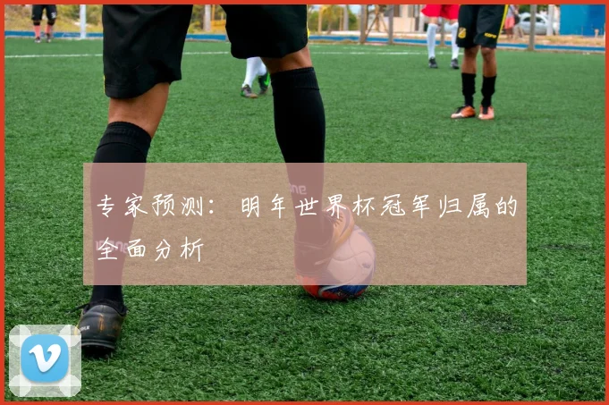 专家预测:明年世界杯冠军归属的全面分析