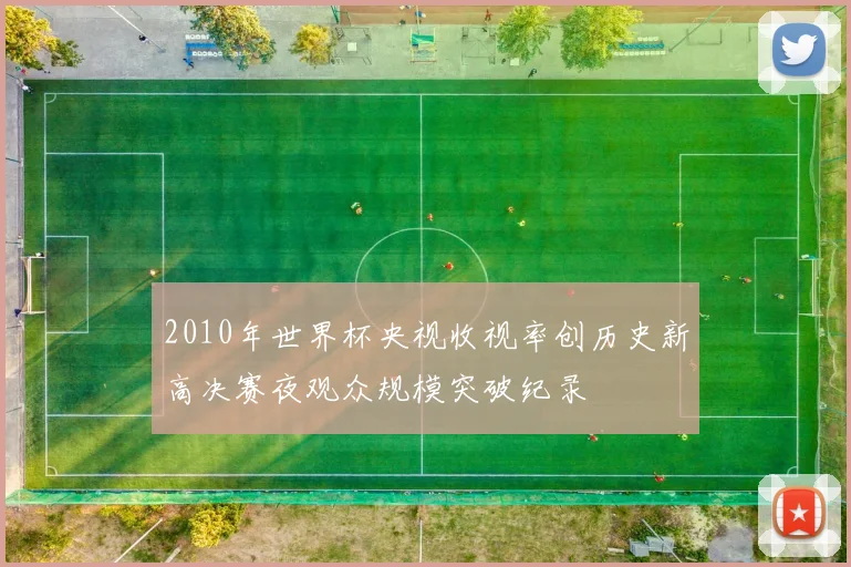 2010年世界杯央视收视率创历史新高决赛夜观众规模突破纪录