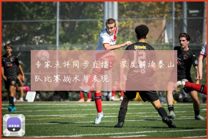 专家点评同步直播：深度解读泰山队比赛战术与表现