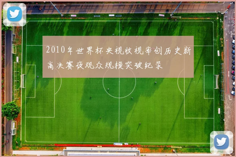 2010年世界杯央视收视率创历史新高决赛夜观众规模突破纪录