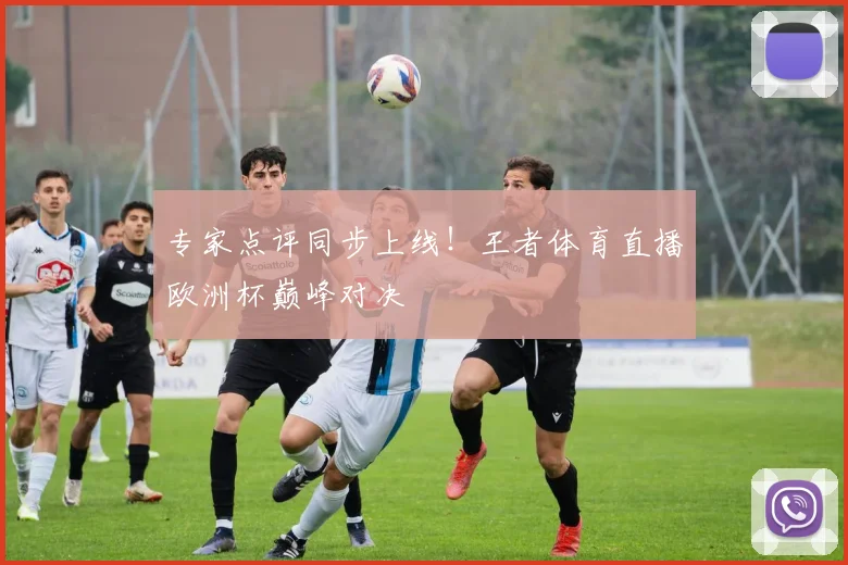 专家点评同步上线！王者体育直播欧洲杯巅峰对决
