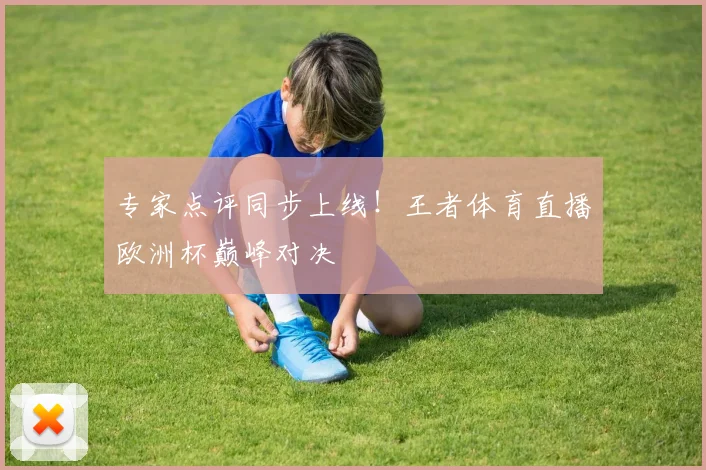 专家点评同步上线！王者体育直播欧洲杯巅峰对决