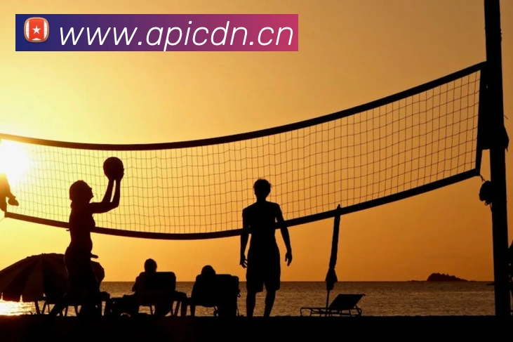 App Interface Preview