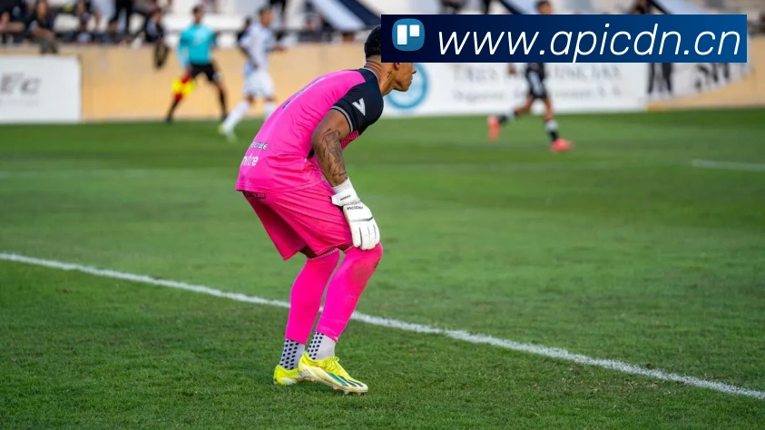 九游体育官方网站下载APP 封面图